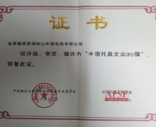 中国30强证书